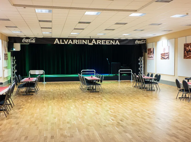 Alvariini Arena atmosphere